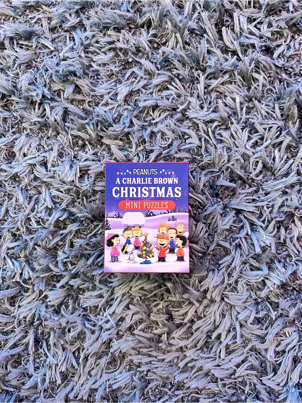 Peanuts Charlie Brown Christmas Mini Puzzle Box